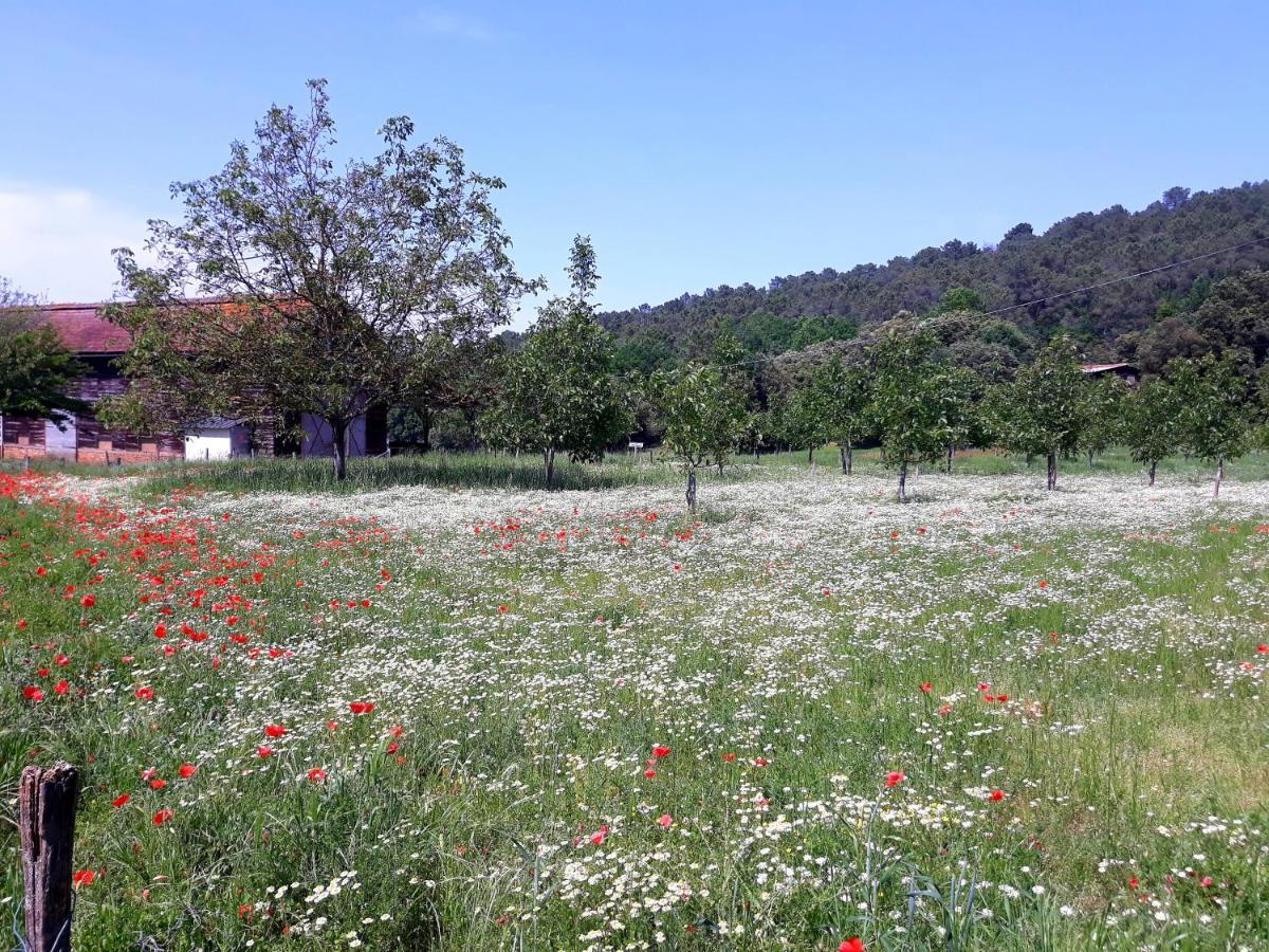 Gite Du Bouyssou Carsac-Aillac Exteriör bild