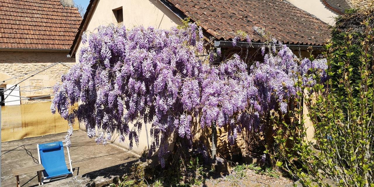 Gite Du Bouyssou Carsac-Aillac Exteriör bild